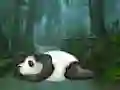 Spill Wakeup The Sleeping Panda online