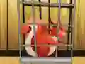 Spill Rescue The Red Squirrel From Cage online