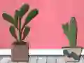 Spill Find Houseplant online