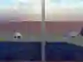 Spill Escape from the House with Turtles online