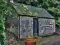 Spill Searching The Hidden Treasure online