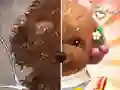Spill Pet Makeup Master online