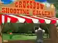Spill Crossbow Shooting Gallery online