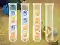 Spill Sort Bubbles online