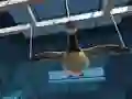 Spill Goose Museum online