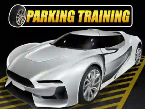 Spill Parking Training online