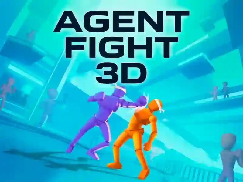 Spill Agent Fight 3D online