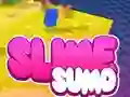 Spill Sumo Slime 3D online