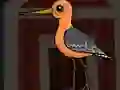 Spill Cute Godwit Escape online