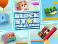 Spill Block Star Challenge online
