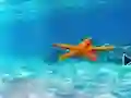 Spill Escape From Underwater Starfish online