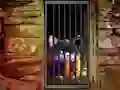 Spill Hidden Cat Escape online
