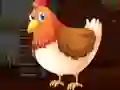Spill Cute Brahma Chicken Escape online