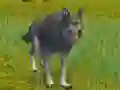 Spill The Wolf: Wild Animal Simulator online