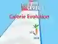 Spill Calorie Evolution online