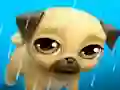 Spill My Virtual Pet Louie the Pug online
