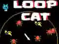 Spill Loop Cat online