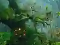 Spill Innocent Sparrow Couple Escape online