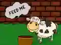 Spill Find The Cow Feed online