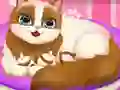 Spill Cute Kitty Pregnant online