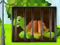 Spill Turtle Fiery Escape online