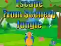 Spill Escape from Scenery Jungle online