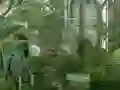 Spill Mystery Garden Escape online
