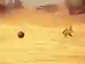 Spill Monkey Shooting online