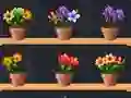 Spill Good Flower Master online
