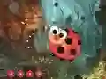 Spill Cute Ladybug Land Escape online
