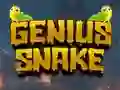 Spill Genius Snake online