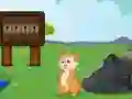 Spill Rescue the Squirrel from Stone online