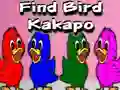 Spill Find Bird Kakapo online