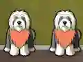 Spill Find Dog Bailey online
