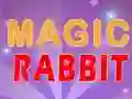Spill Magic Rabbit online