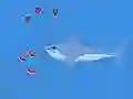 Spill Oceans Shees online