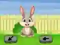Spill Springtime Escape online