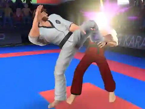 Spill Karate Fighter online