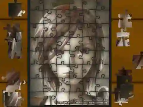 Spill Puzzle Master online