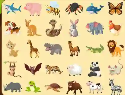Spill Discover Animals online