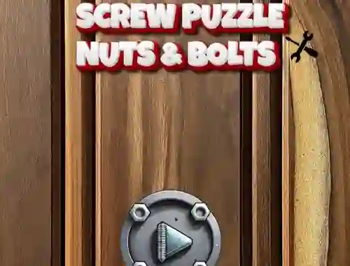 Spill Screw Puzzle : Nuts & Bolts online