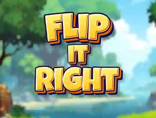 Spill Flip It Right online