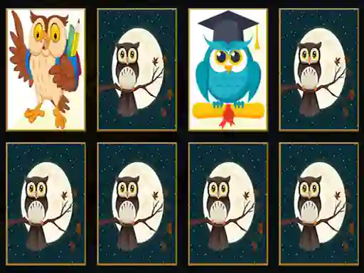 Spill Cute Owl Memory online
