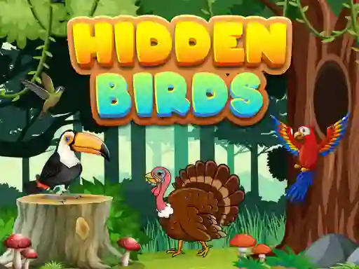 Spill Hidden Birds online
