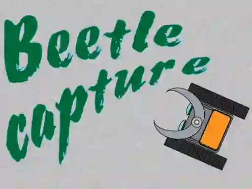 Spill Beetle Capture online