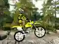 Spill Trial Bike 2 online