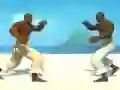Spill Capoeira fighter online
