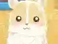 Spill Hamster Love online