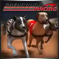 Spill Greyhound Racing online