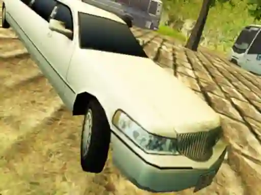 Spill Limousine Driver online